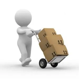 2-Day PRIORITY Leech Shipping   Tracking