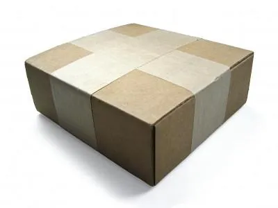 2-Day PRIORITY Leech Shipping   Tracking