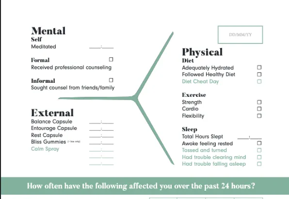 Balance Booklet   Tracking Journal - PDF