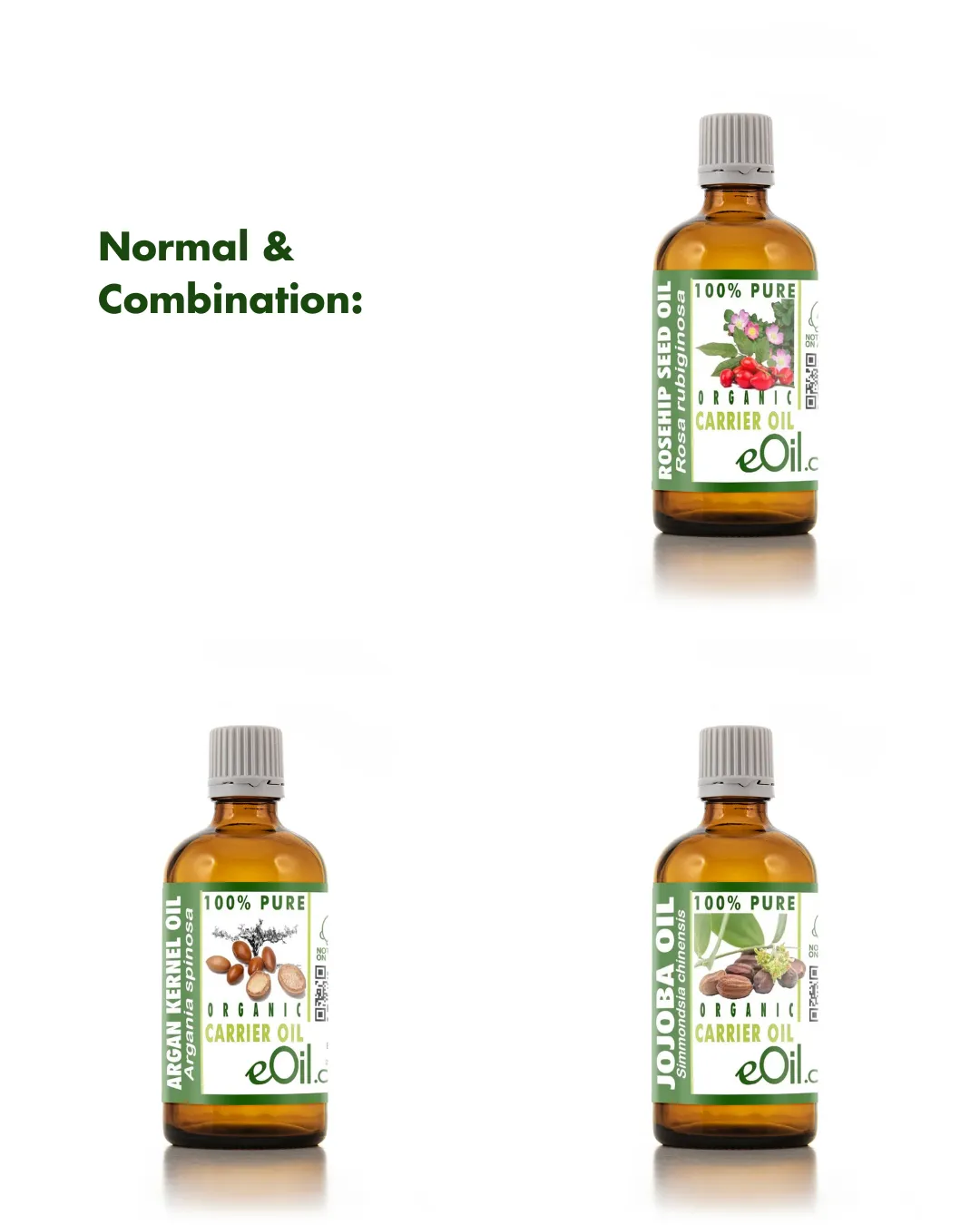 Cinnamon - 60 Capsules - Herbal Collection