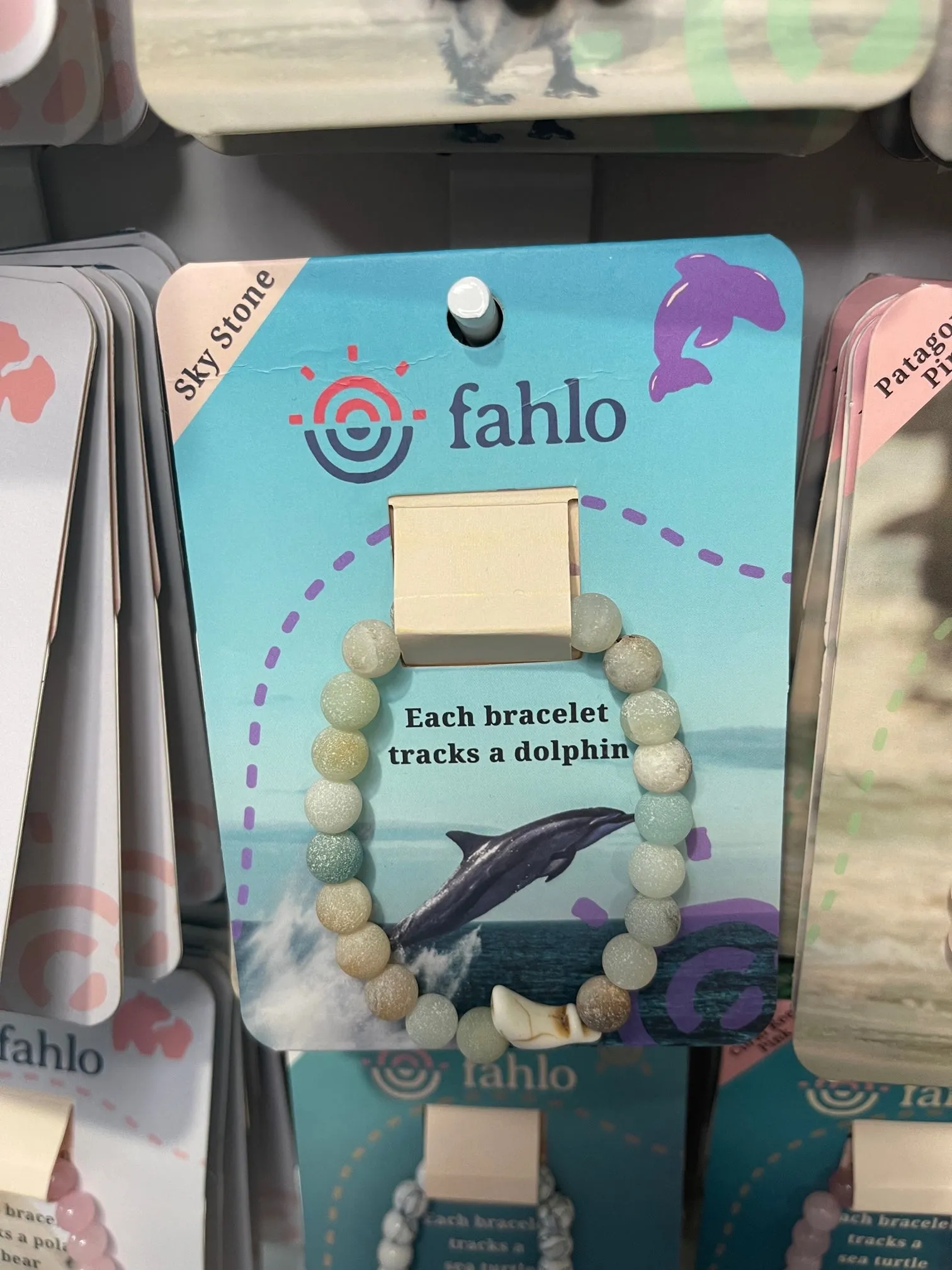 Dolphin Tracking Bracelet