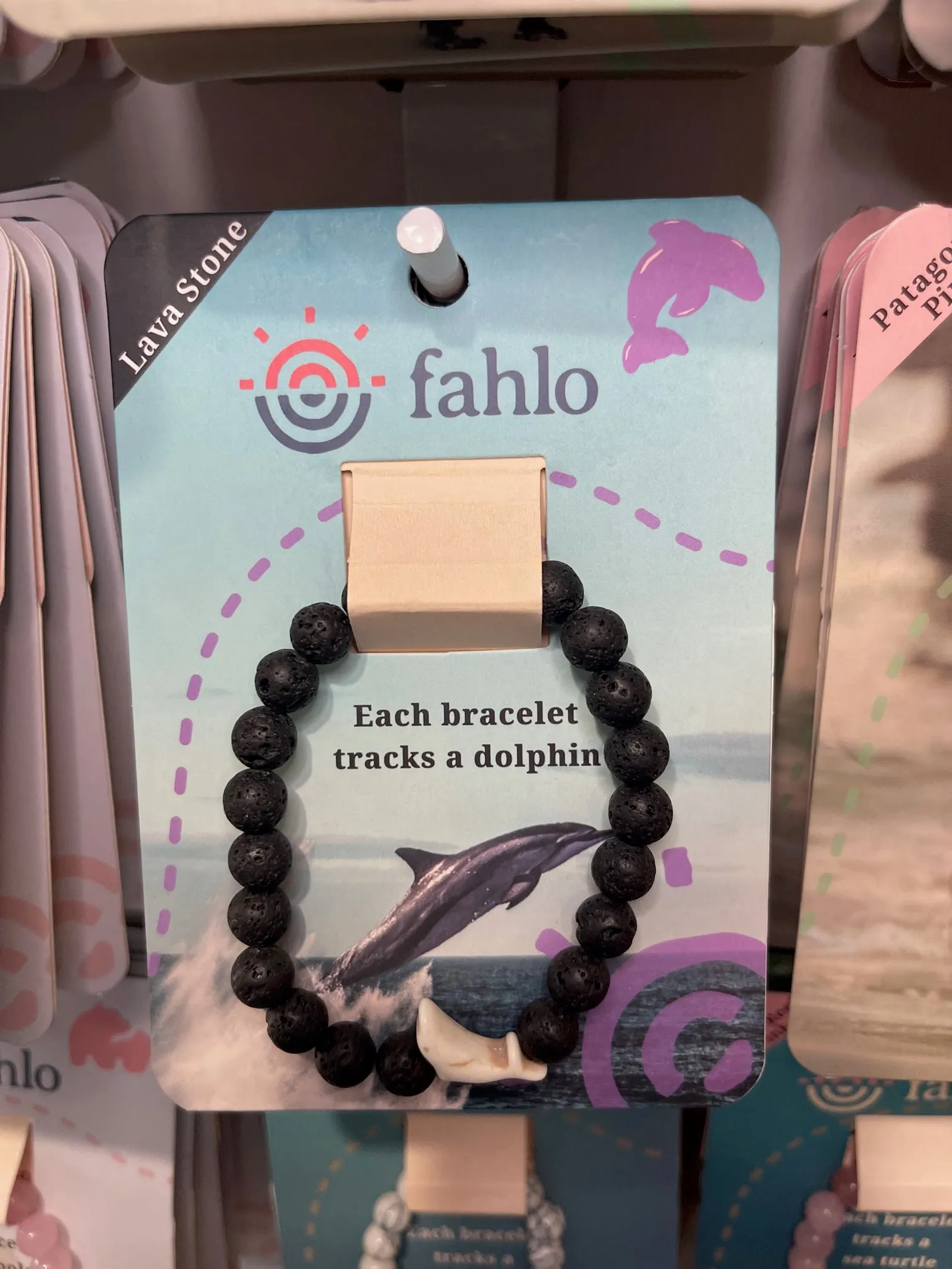 Dolphin Tracking Bracelet