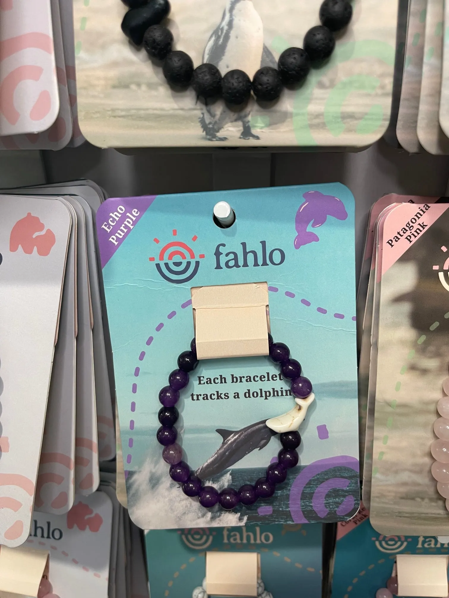 Dolphin Tracking Bracelet