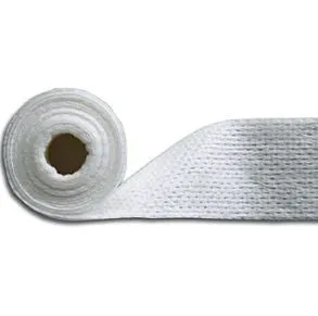 Dressing Sterile Mesalt® Rx Item by Molnlycke