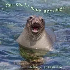 Fahlo Seal Tracking Glide Bracelet