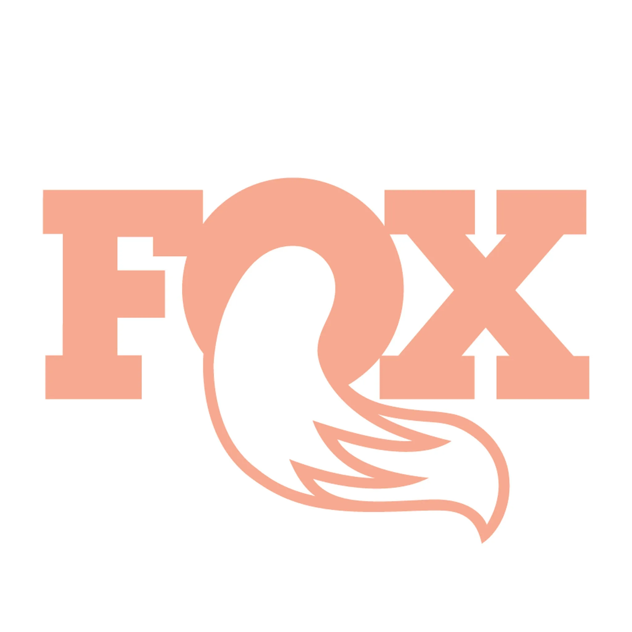 Fox air shocks DAMPER rebuild kits