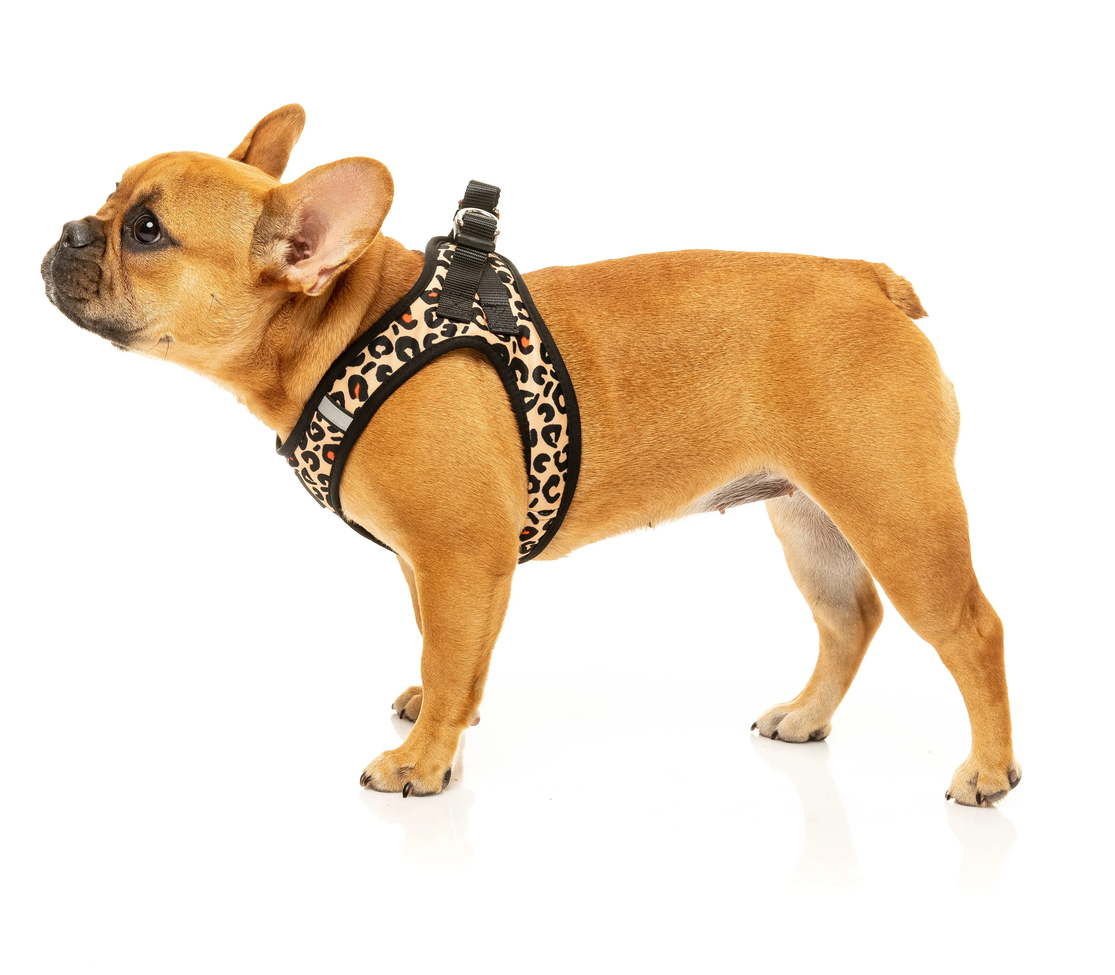 Javan Step In Harness -FINAL SALE NO RETURNS OR EXCHANGES
