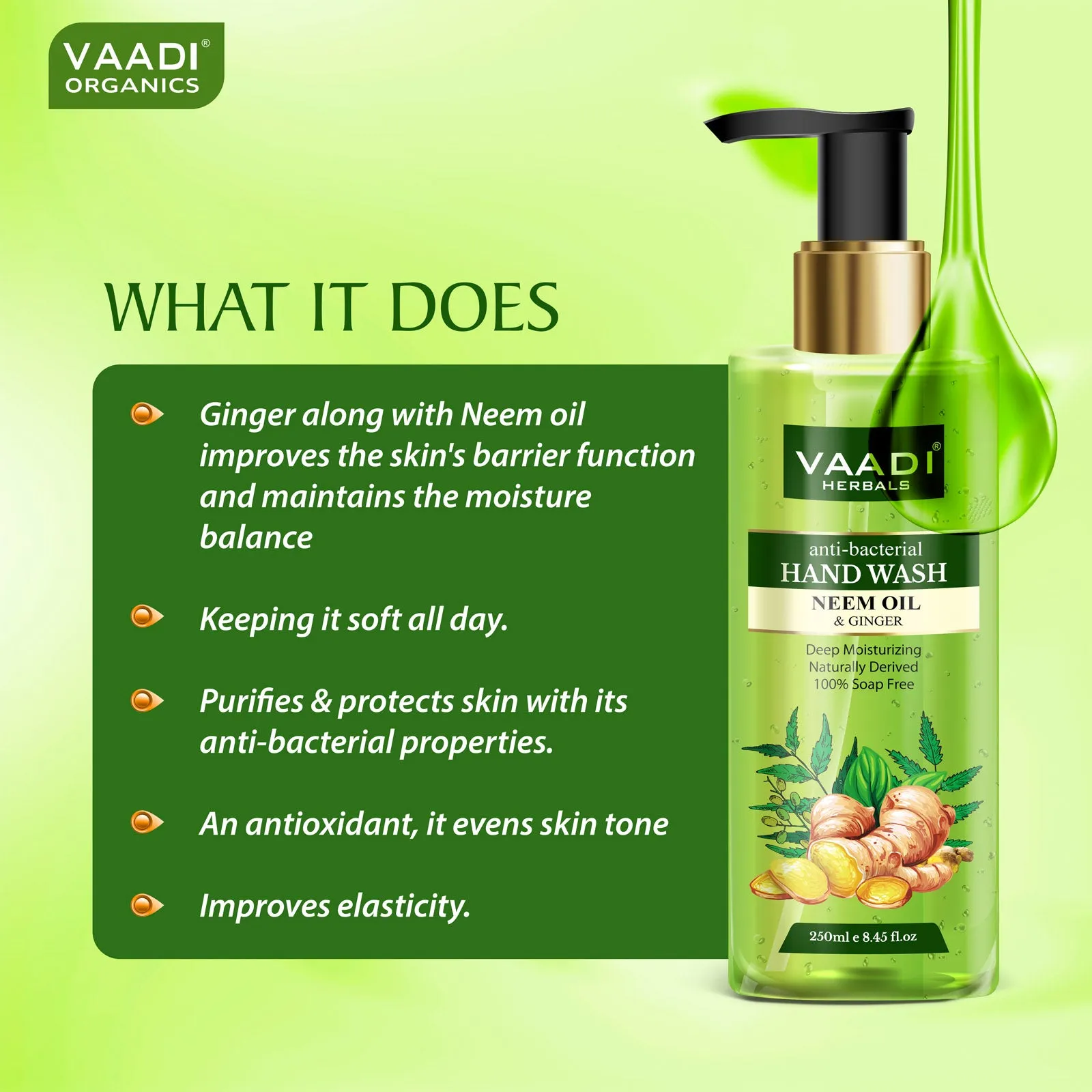 Pack of 2 Anti-Bacterial Neem Oil & Ginger Hand Wash (250 ml x 2)