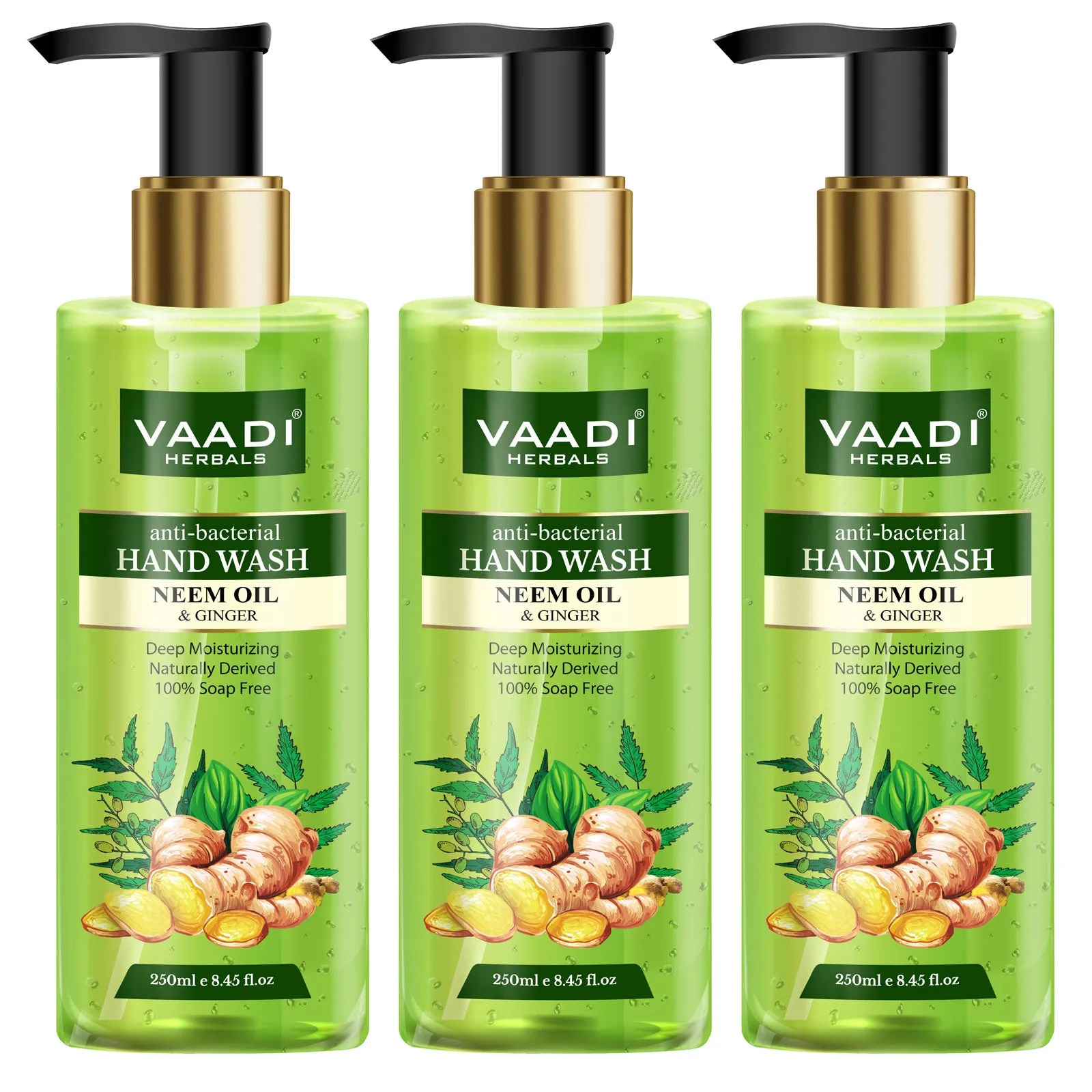 Pack of 3 Anti-Bacterial Neem Oil & Ginger Hand Wash (250 ml x 3)