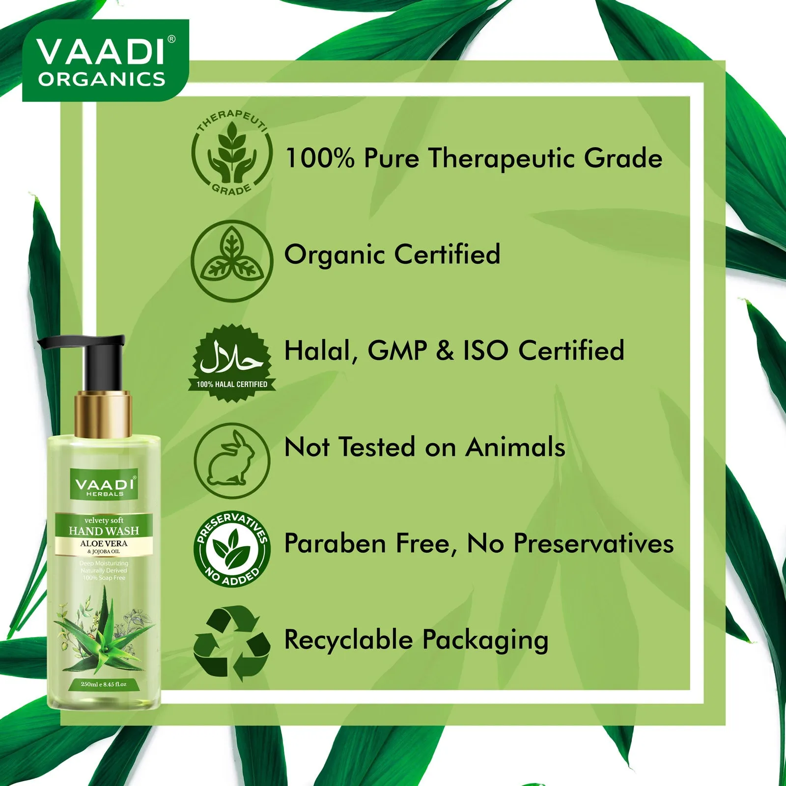 Pack of 3 Velvety Soft Aloe Vera & Jojoba Oil Hand Wash (250 ml x 3)