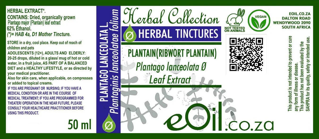 Plantain Herbal Extract ( Plantago major )