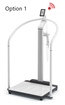 seca 655 - (HR /US) - NEW Class III digital high capacity hand-rail scale with BMI & WiFi connectivity, user & patient ID on-screen verification and optional ultrasound height measure