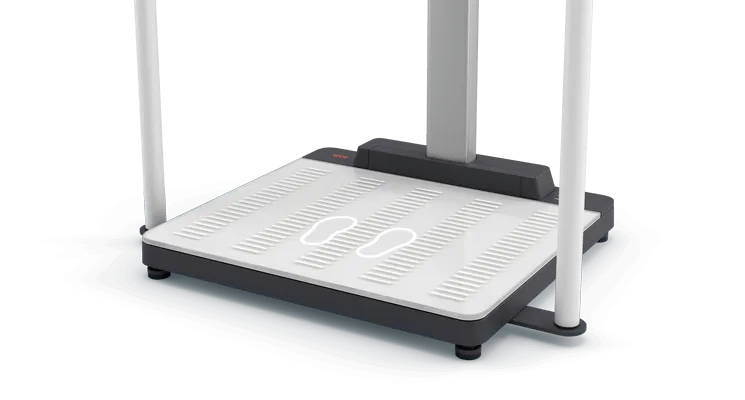 seca 655 - (HR /US) - NEW Class III digital high capacity hand-rail scale with BMI & WiFi connectivity, user & patient ID on-screen verification and optional ultrasound height measure