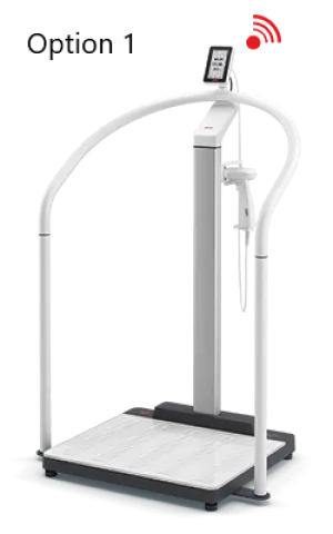 seca 655 - (HR /US) - NEW Class III digital high capacity hand-rail scale with BMI & WiFi connectivity, user & patient ID on-screen verification and optional ultrasound height measure