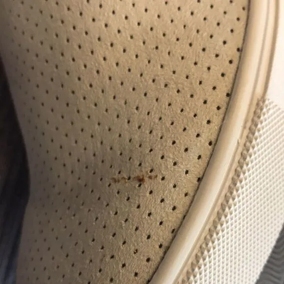 STEVE MADDEN Georgie Wedge Sneakers 6M