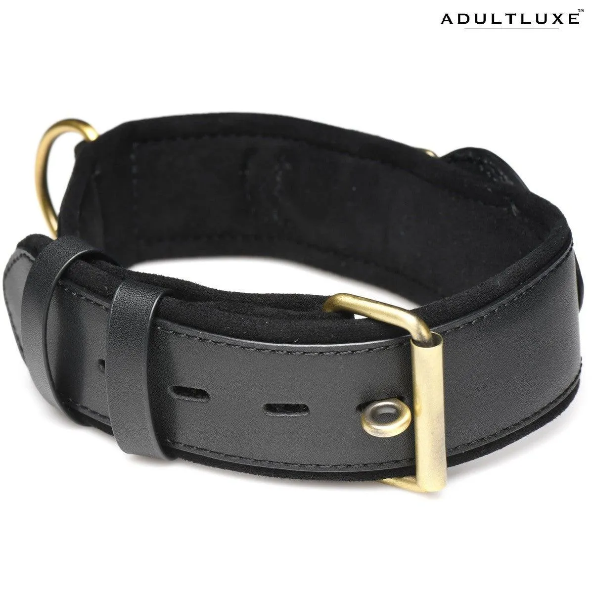 Tracer Tracking Collar