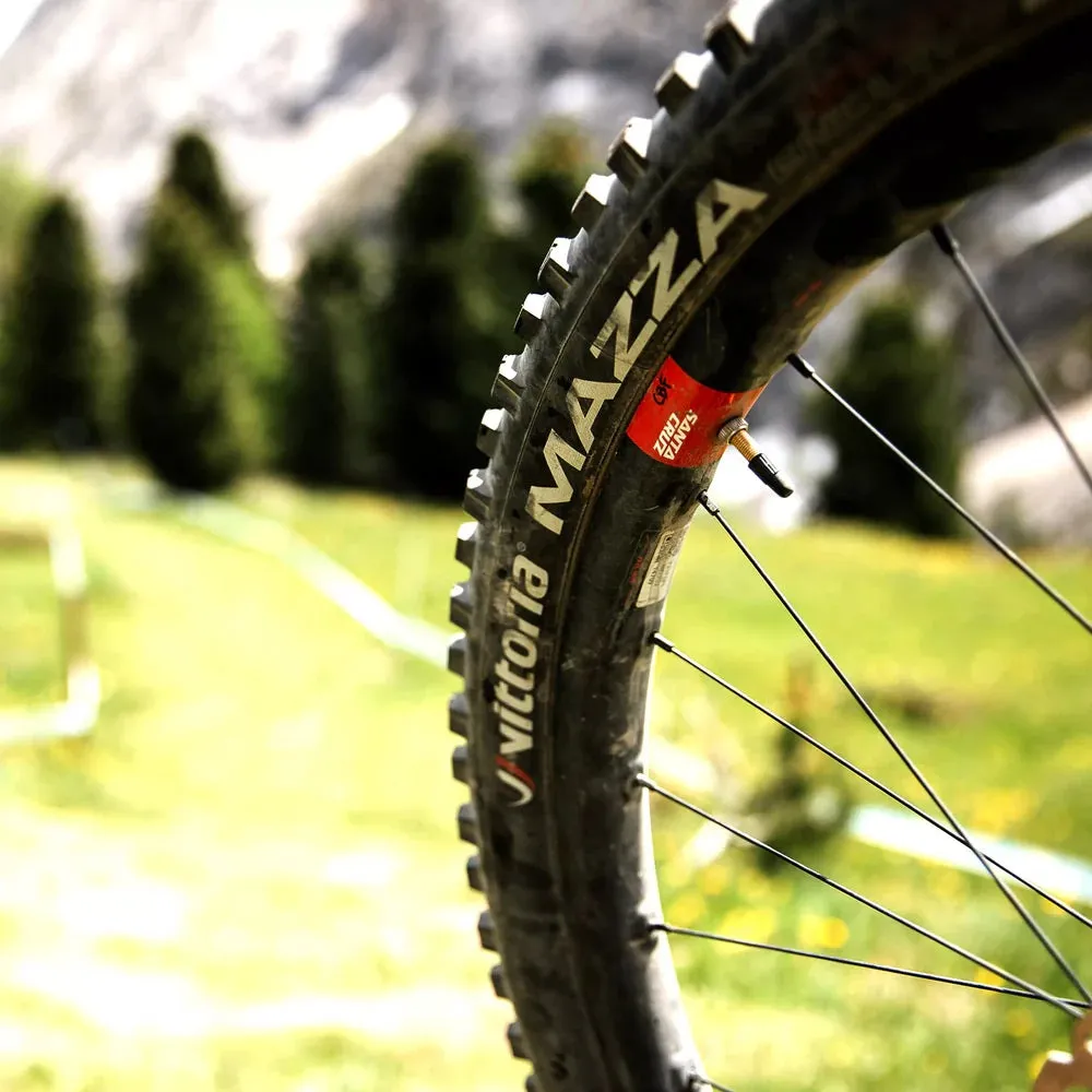 Vittoria 29" Mazza Enduro